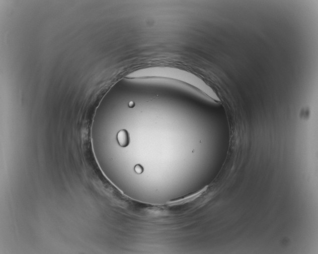 X0000113110284200909111122