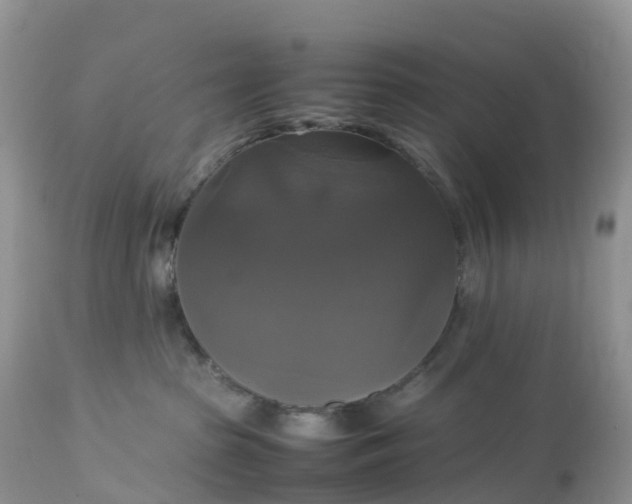 X0000113110285200909111122