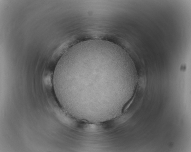 X0000113110286200909111122