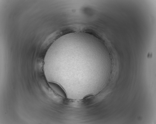 X0000113110288200909111122