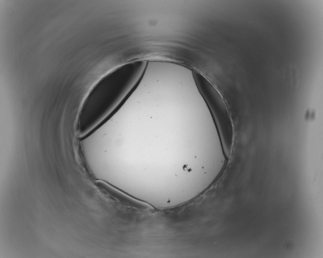 X0000113110289200909111121