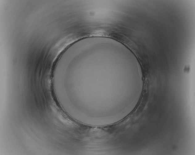 X0000113110290200909111121