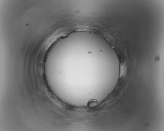 X0000113110291200909111121