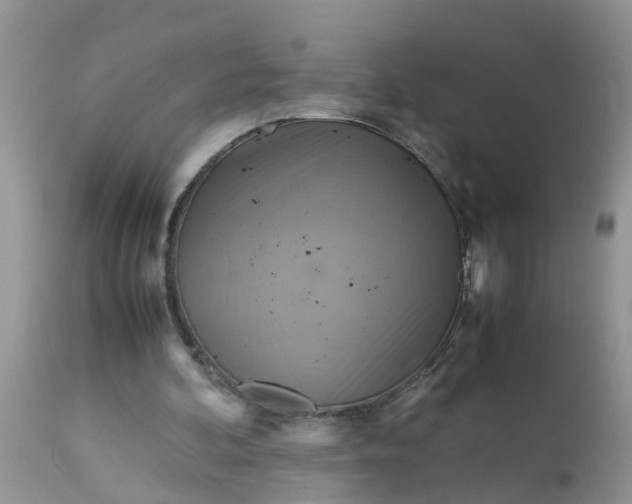 X0000113110292200909111121