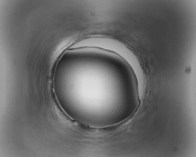 X0000113110293200909111121