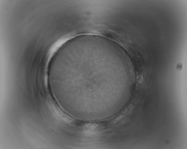 X0000113110294200909111121