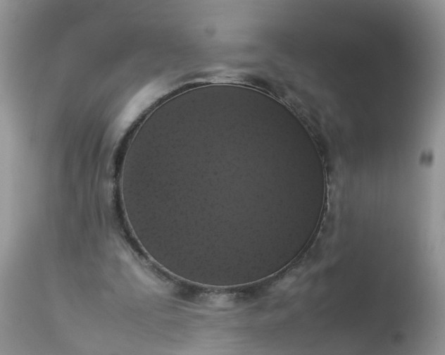 X0000113110295200909111121