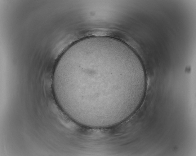 X0000113110297200909111121