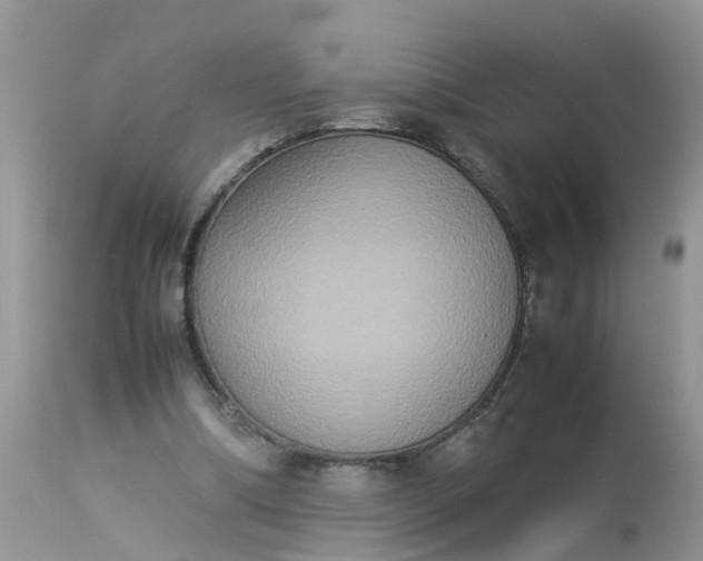 X0000113110298200909111121