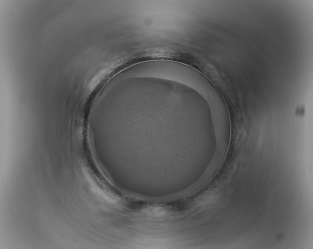 X0000113110299200909111121