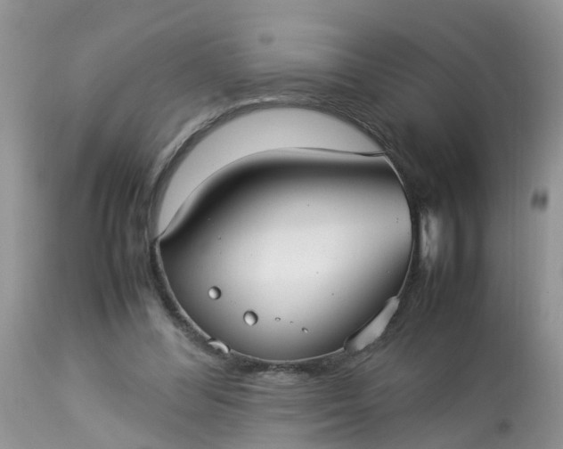 X0000113110300200909111121