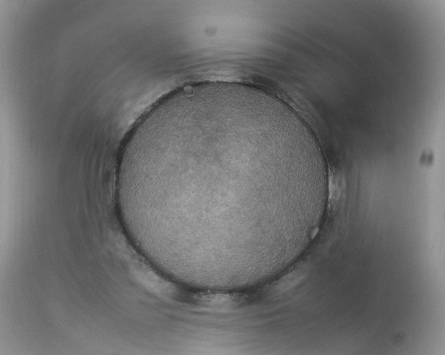 X0000113110301200909111121