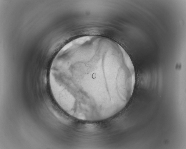 X0000113110302200909111121