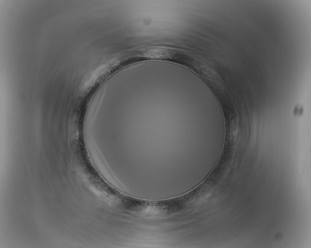 X0000113110303200909111121