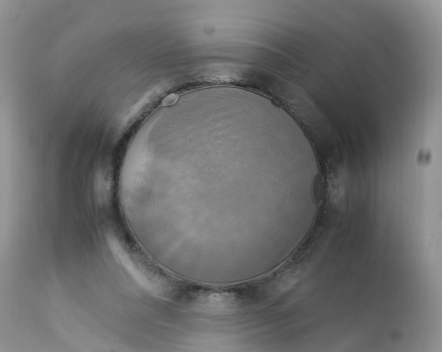 X0000113110304200909111121