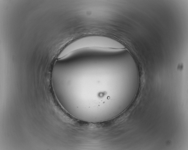 X0000113110305200909111121