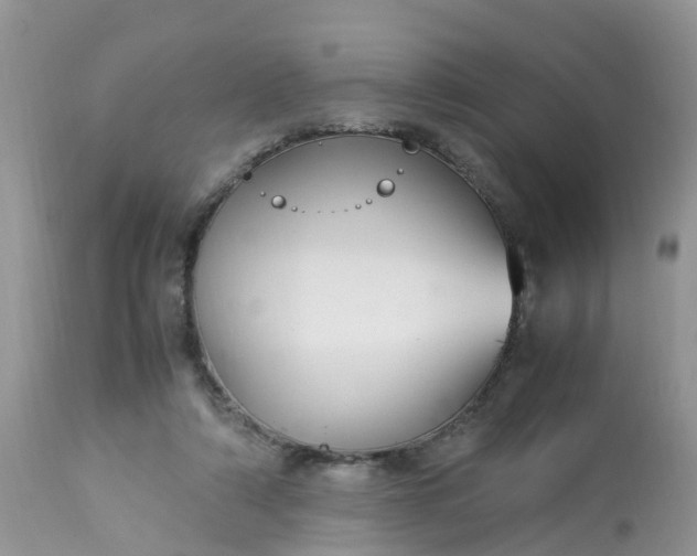 X0000113110306200909111121