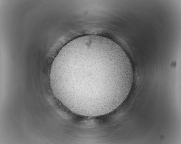 X0000113110307200909111121