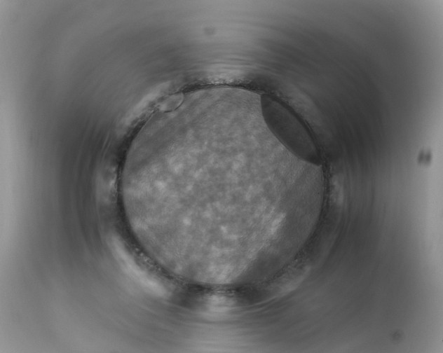 X0000113110308200909111121