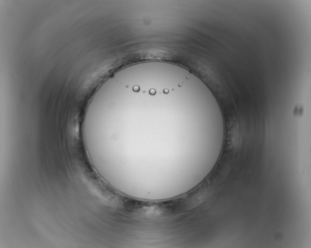 X0000113110310200909111121