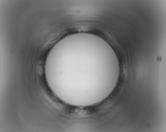 X0000113110311200909111121