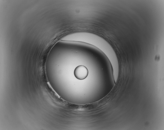 X0000113110312200909111121