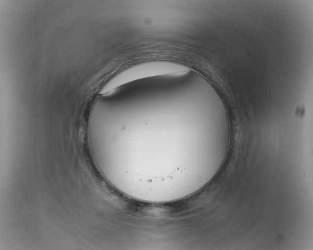 X0000113110313200909111121