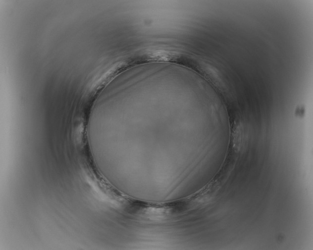 X0000113110314200909111121