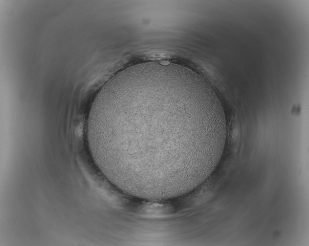 X0000113110315200909111121