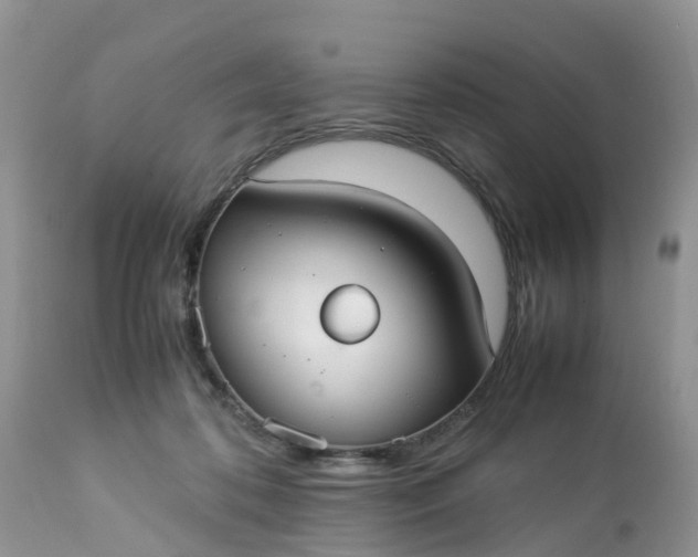 X0000113110316200909111121