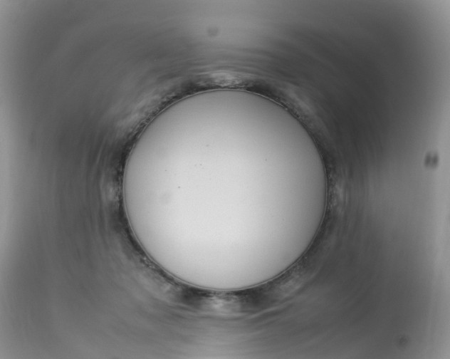 X0000113110317200909111121