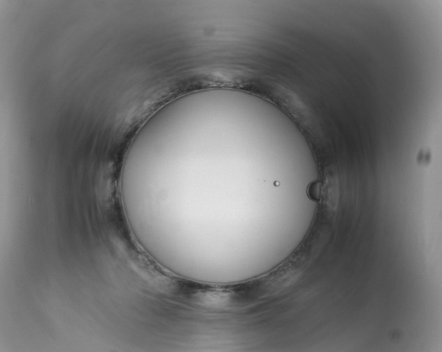 X0000113110318200909111121