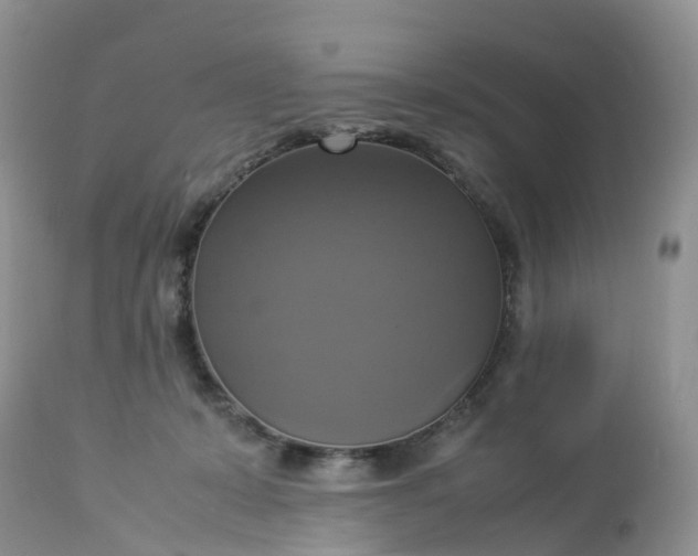 X0000113110319200909111121