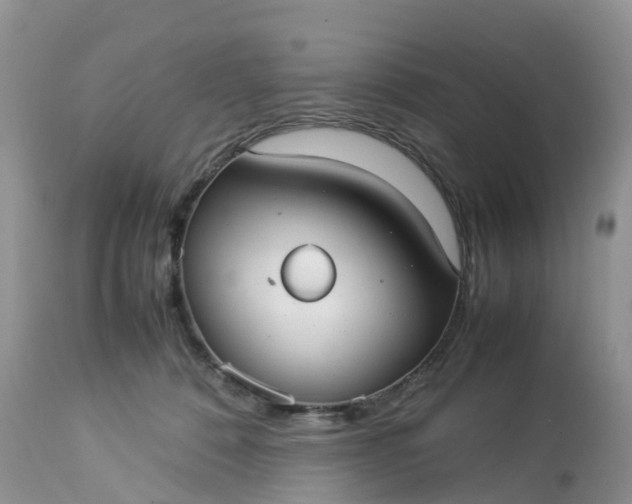 X0000113110320200909111121