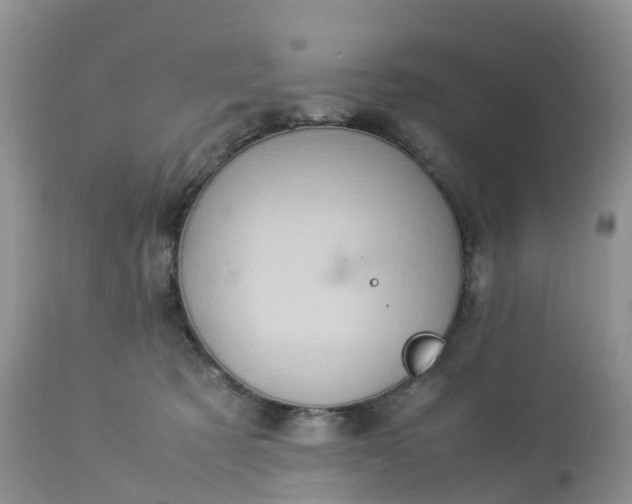 X0000113110321200909111121