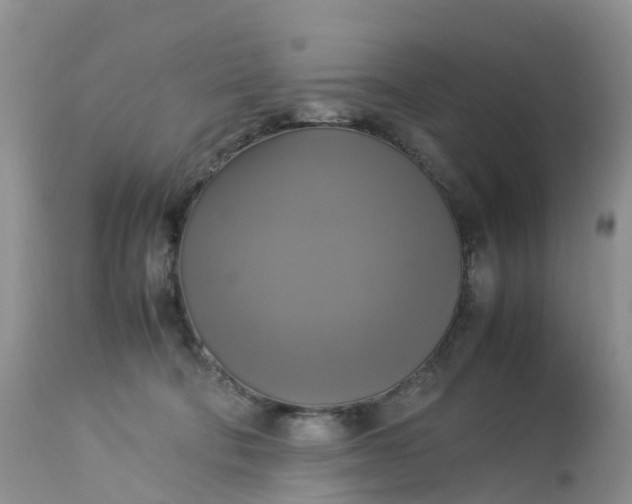 X0000113110322200909111121