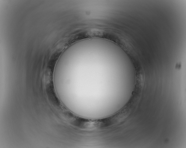 X0000113110323200909111121