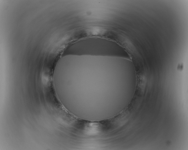 X0000113110324200909111121