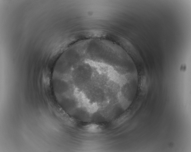 X0000113110326200909111121