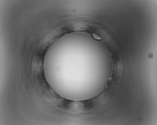 X0000113110327200909111121