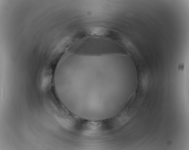 X0000113110328200909111121