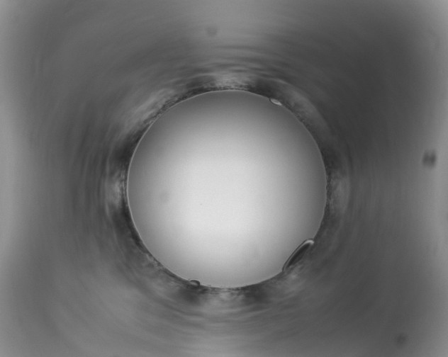 X0000113110329200909111121