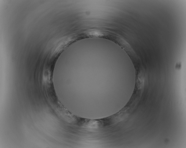 X0000113110330200909111121