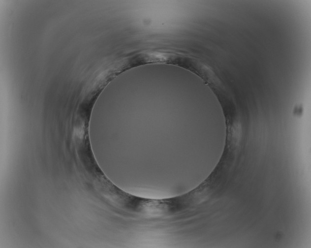 X0000113110331200909111121