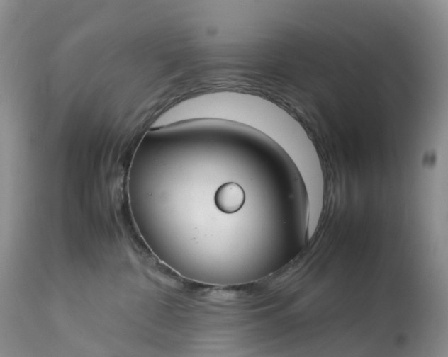 X0000113110332200909111121