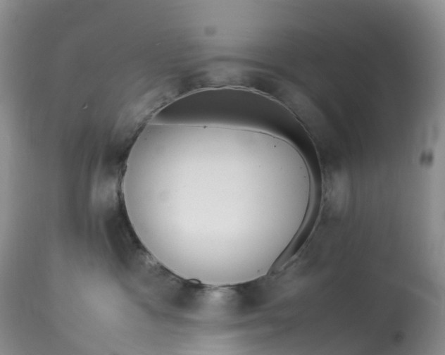 X0000113110333200909111121