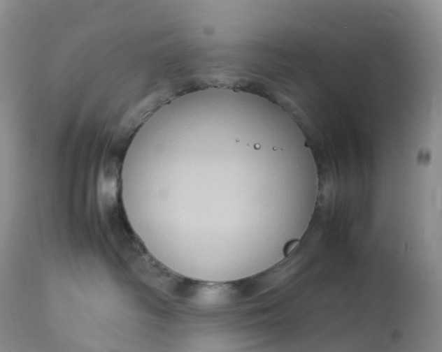 X0000113110334200909111121