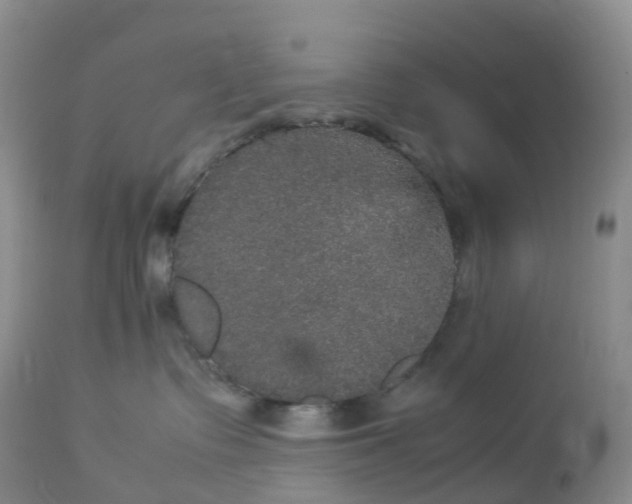 X0000113110335200909111121