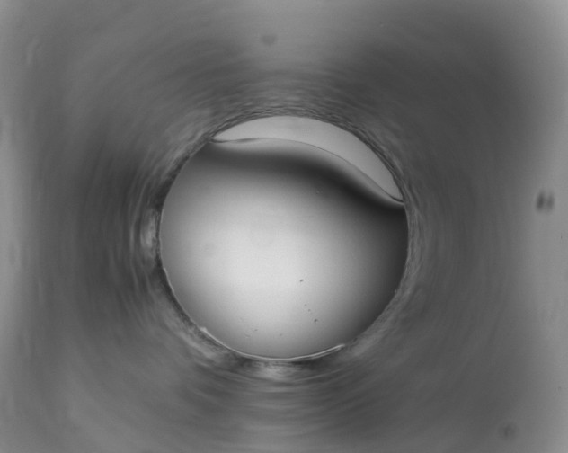 X0000113110336200909111121