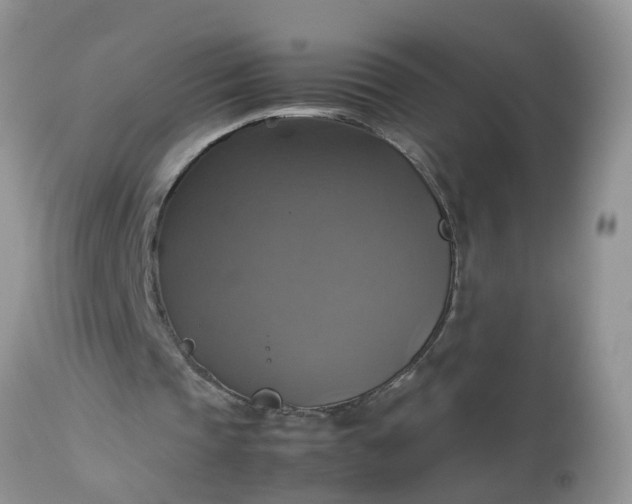 X0000113110337200909111120